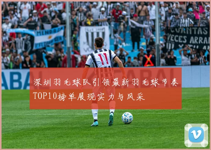 深圳羽毛球队引领最新羽毛球节奏TOP10榜单展现实力与风采